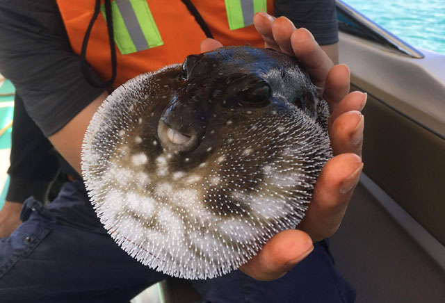 ニャチャン釣りツアー