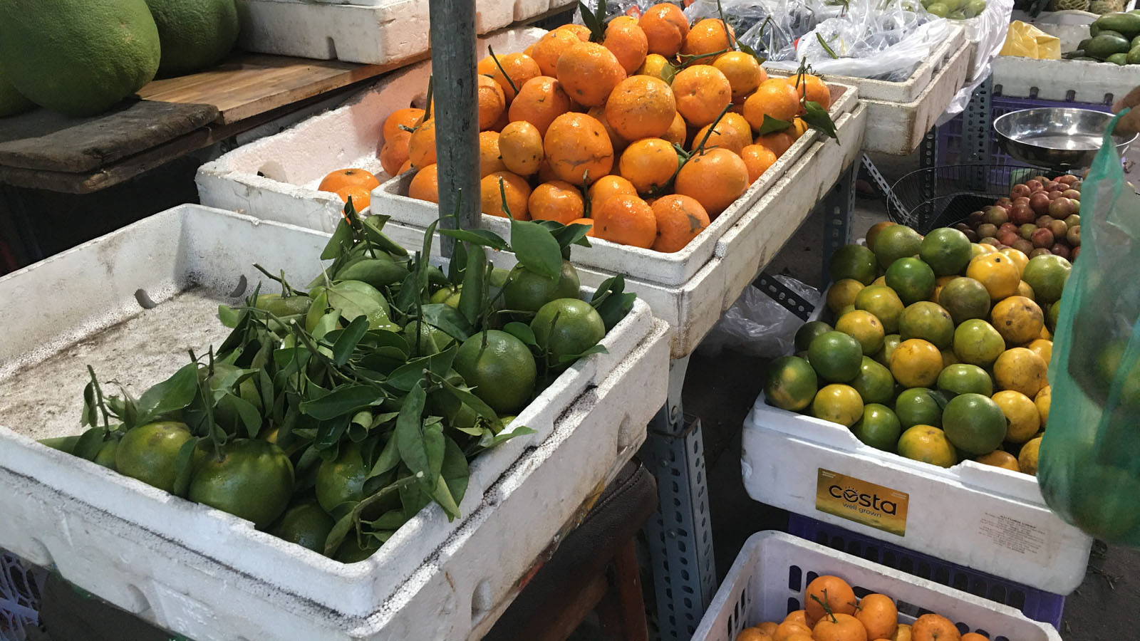 ベトナムミカン